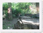 Dierentuin Burgers  Zoo 006 * 3648 x 2736 * (6.03MB)